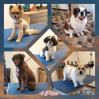 4 Paws Grooming