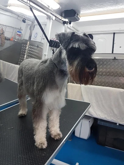 4 Paws-Mobile Dog Grooming