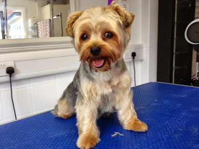 4paws Essex Grooming