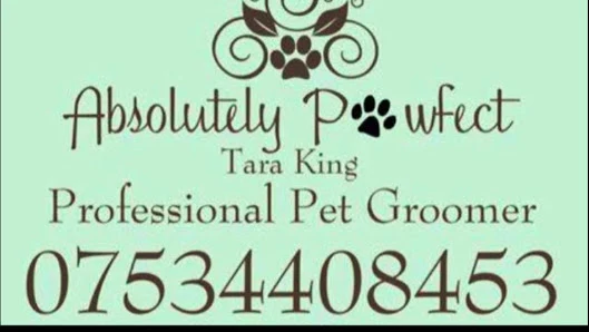 Absolutely Pawfect