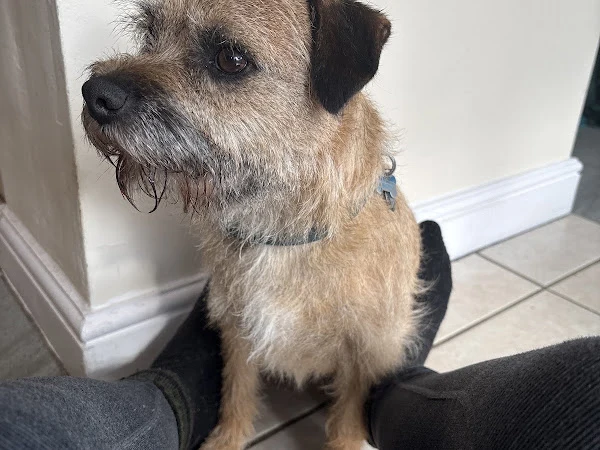 Acres Grooming Parlour