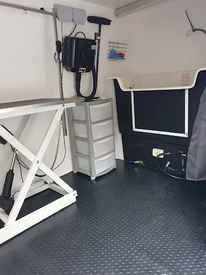 All 4 paws mobile grooming