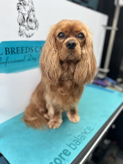 All Breeds Canine