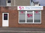 Alldogs Grooming