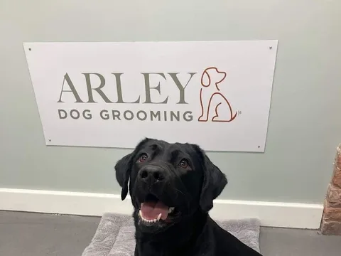 Arley Dog Grooming