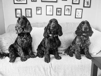Austins Dog Grooming