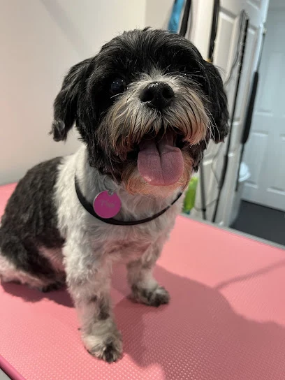 Bailey’s Dog Grooming