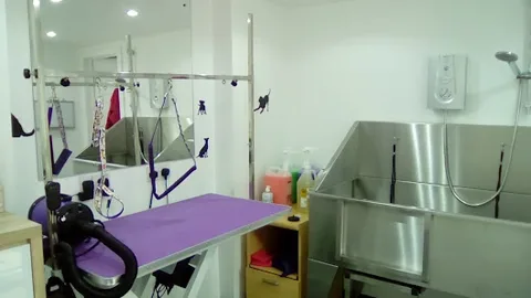 Bankside Dog Grooming