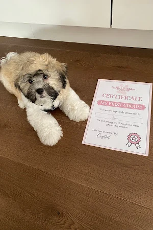 Bark and Bubbles Dog Grooming