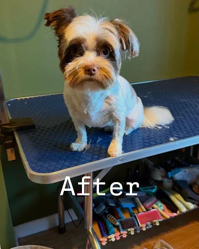 Bark and shine dog groomers