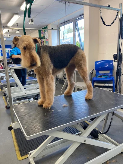 Barkem Mobile Dog Grooming
