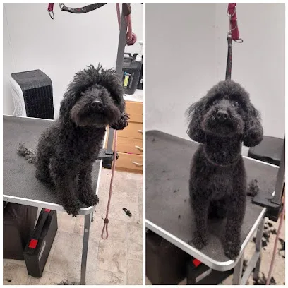 Barking Clean