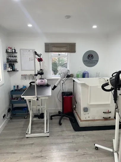 Barking Sniffers Dog Groomers