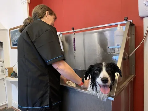 Barks and Bubbles Dog Groomers - 8+ years in business - Haverfordwest