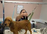 Beljays Grooming Parlour