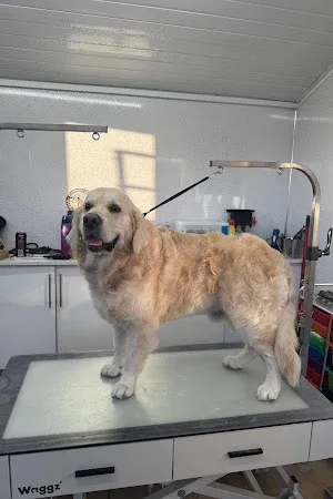 Bellars Grooming co
