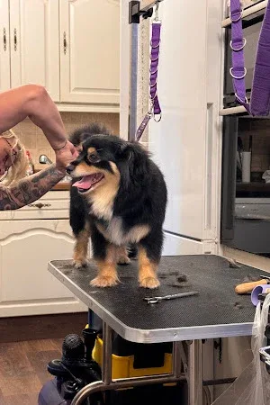 Bella's Beauty Groom