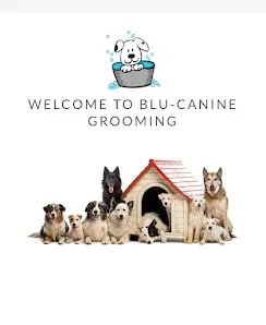 Blu-Canine Grooming