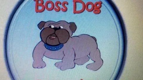 Boss Dog Grooming