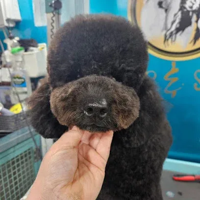 Boujee Pet mobile grooming