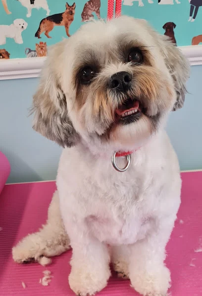 Brontay Dog Grooming