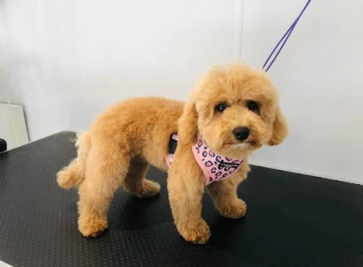 "By George" dog groomers