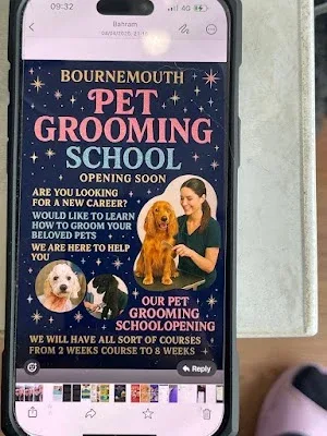 Cats and Dogs grooming Bournemouth,Won Best Pet Grooming Business awards Dorset 2023.Second branch soon 910 Christchurch Rd