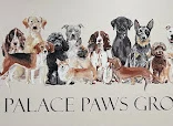 Clair's Canine Creations