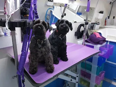 Cleverclix Dog Grooming