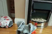 Clipaway Dog Groomers