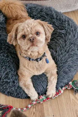 Coats & Tails