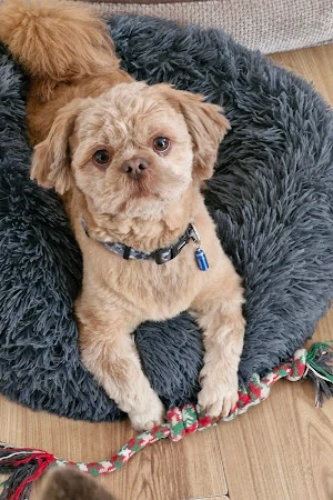 Coats & Tails
