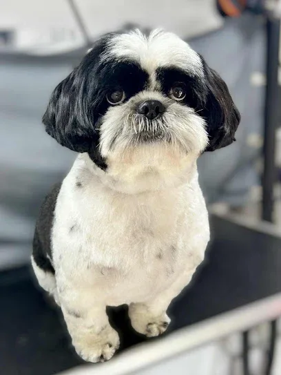 Country Canines Dog Grooming