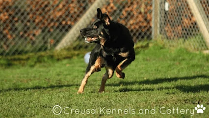 Creusa Kennels And Cattery