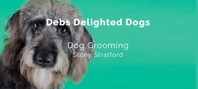 Debs Delighted Dogs - Dog Grooming