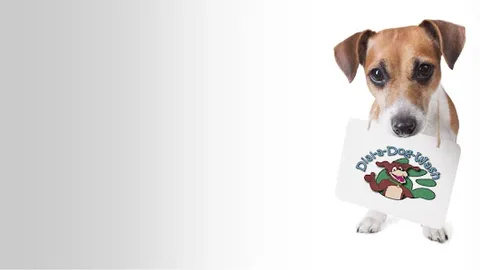 Dial a Dog Wash Rugeley