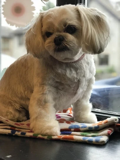 Diamond Dogs Salon