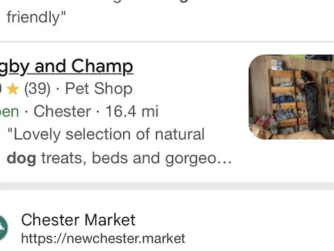 Digby and Champ