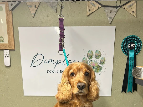 Dimples dog grooming