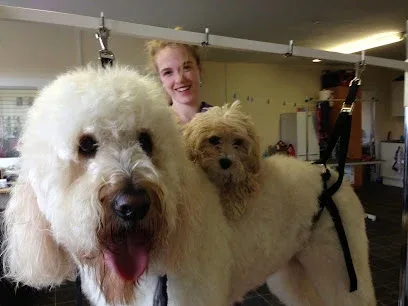 Dog Grooming At Megs