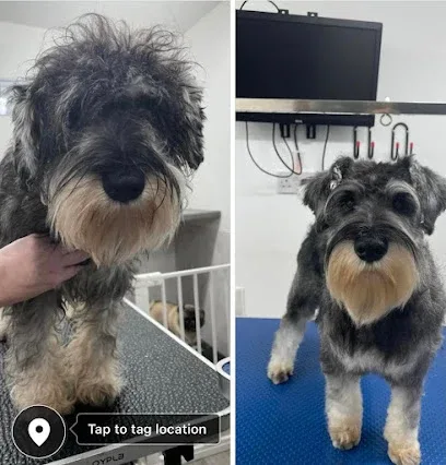 dog grooming Nottingham ( Yappy Paws )