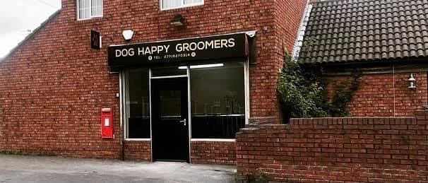 Dog Happy