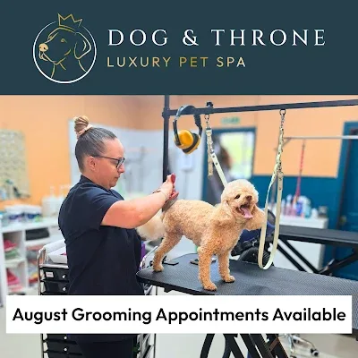 Dog & Throne Luxury Pet Spa