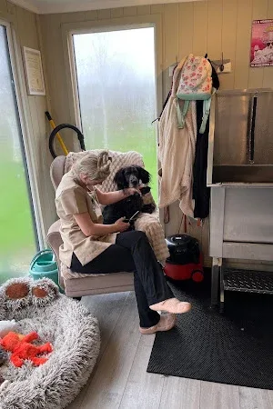 Dogmore Grooming
