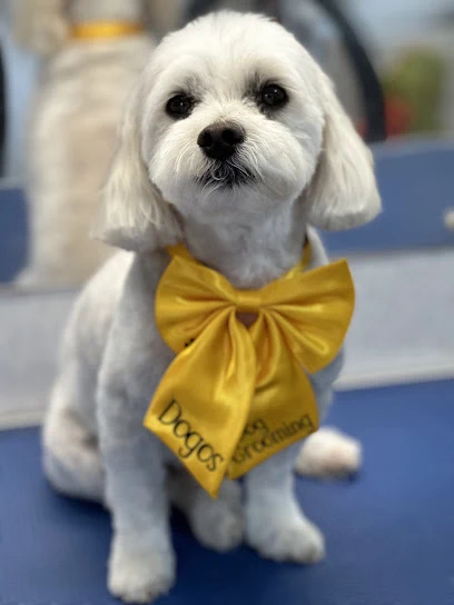 dogos mobile dog grooming