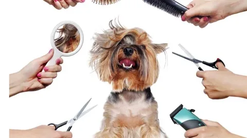 Dogs at home Dog grooming Hemel Hempstead