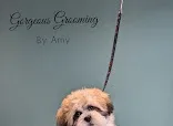 Dogs Delight