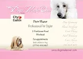 Dogs Make Over