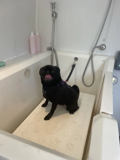 Dogzmania DIY Dog wash