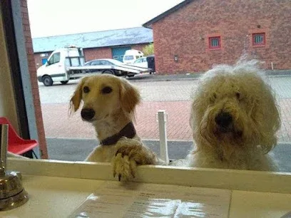 Dogzwash